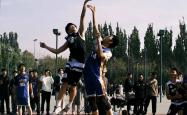 雷速体育比分官网直播-花絮曝光：篮球明星生活全记录，圈粉无数的简单介绍