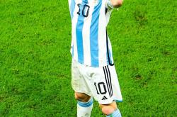 雷速体育官方-包含阿根廷血洗荷兰，布鲁诺惊艳世界的词条