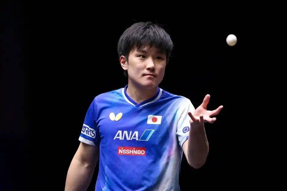 中国乒乓球队绝杀德国乒乓球队，张本智和绝境逆转的简单介绍