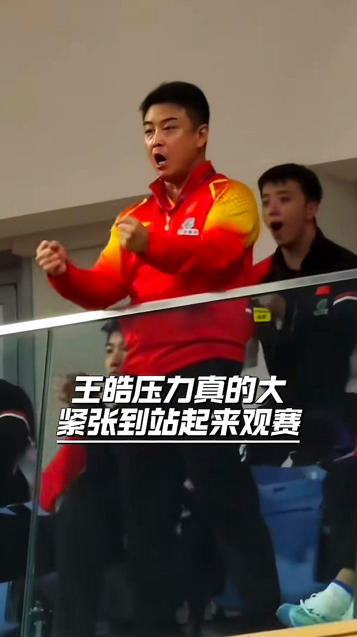 德国乒乓球队鏖战中国乒乓球队，王皓一己之力扛起全队的简单介绍