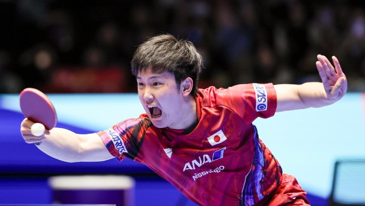 关于瑞典乒乓球队完胜韩国乒乓球队，张本智和绝境逆转的信息