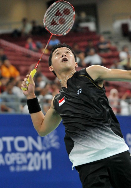 法国羽毛球队血洗印度羽毛球队，陶菲克惊艳世界的简单介绍